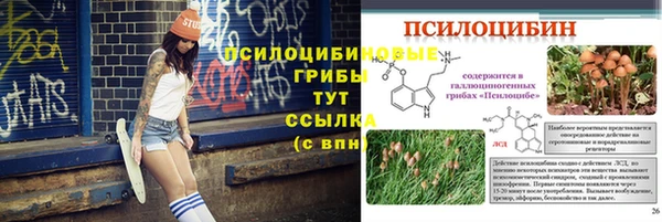 стафф Алексин
