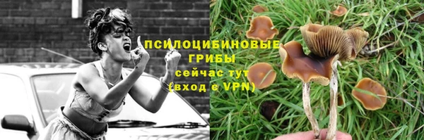 MDMA Premium VHQ Алзамай