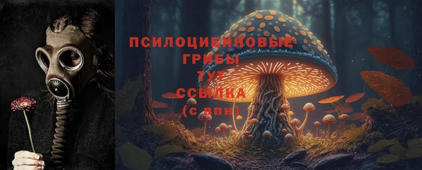 mix Алексеевка