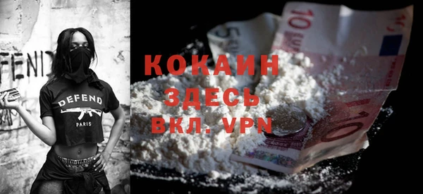 стафф Алексин