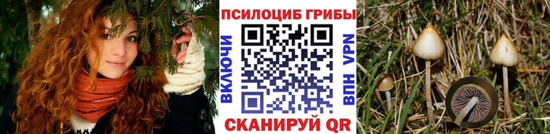 Галлюциногенные грибы MAGIC MUSHROOMS Нововоронеж