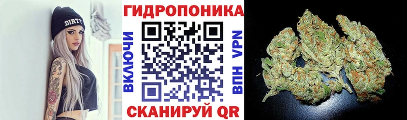 Канабис семена  Нововоронеж 